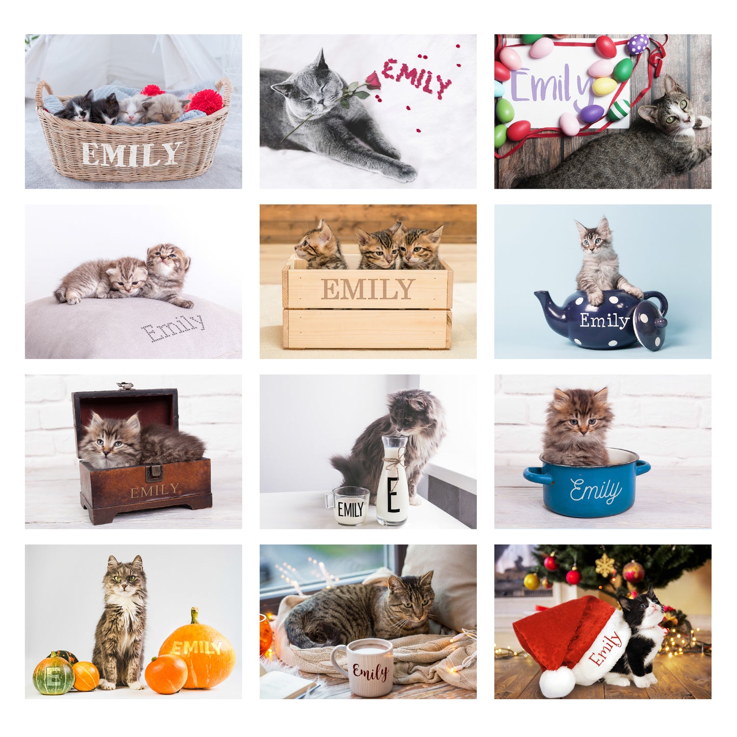 Personalised Cats and Kittens 2025 Desk Calendar