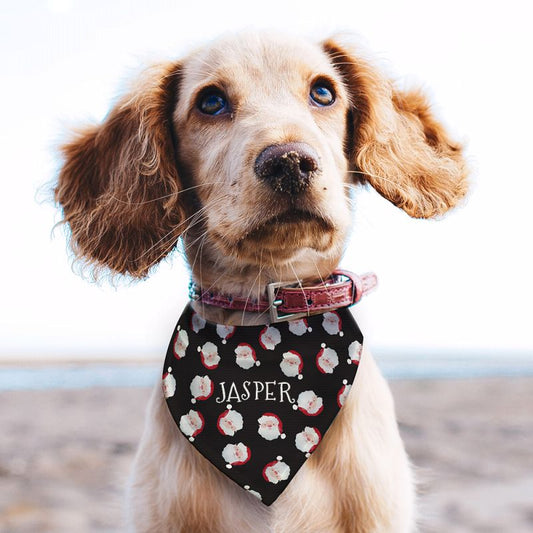 Personalised Santa Dog Bandana